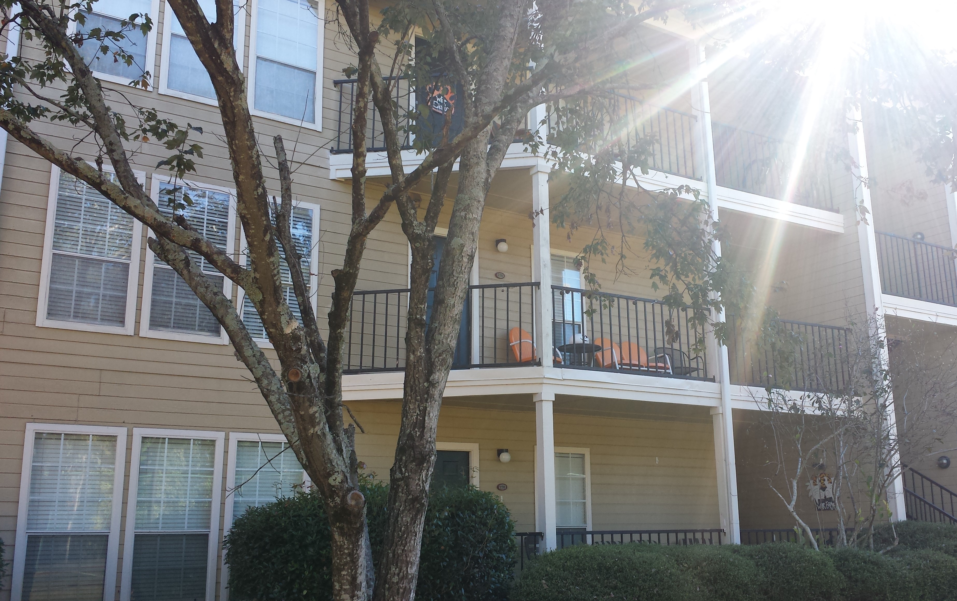 Auburn Crossing #238